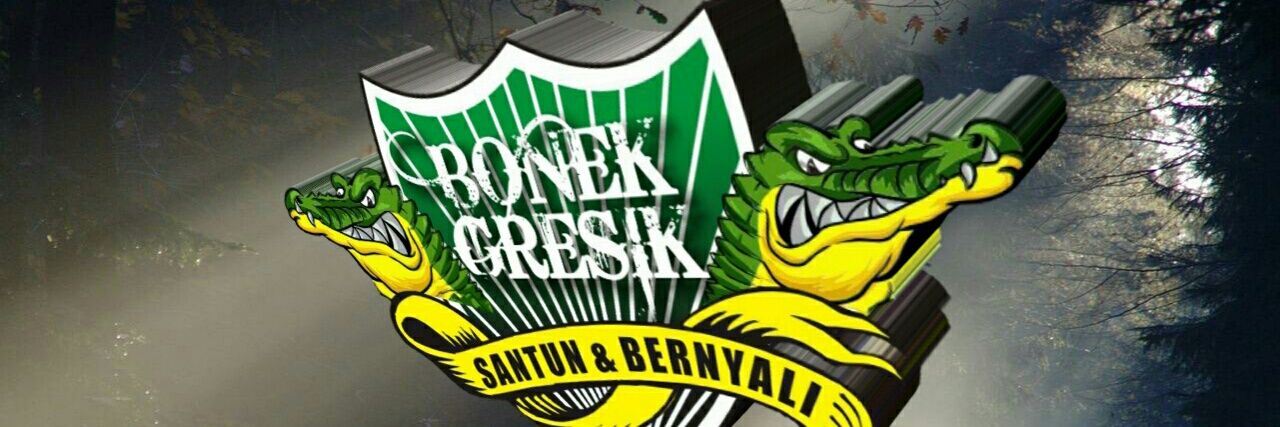 Bonek_Gresik's profile banner image