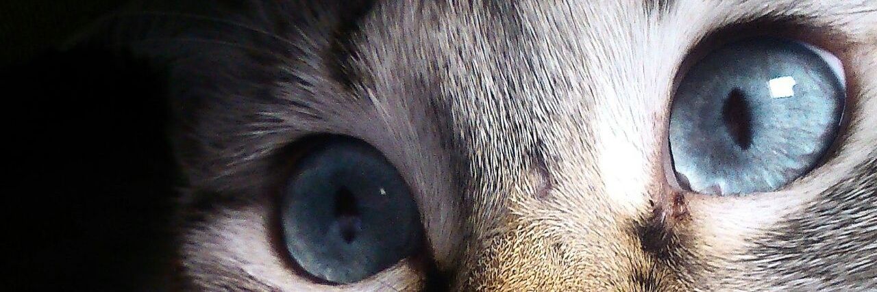 MelEsquit's profile banner image