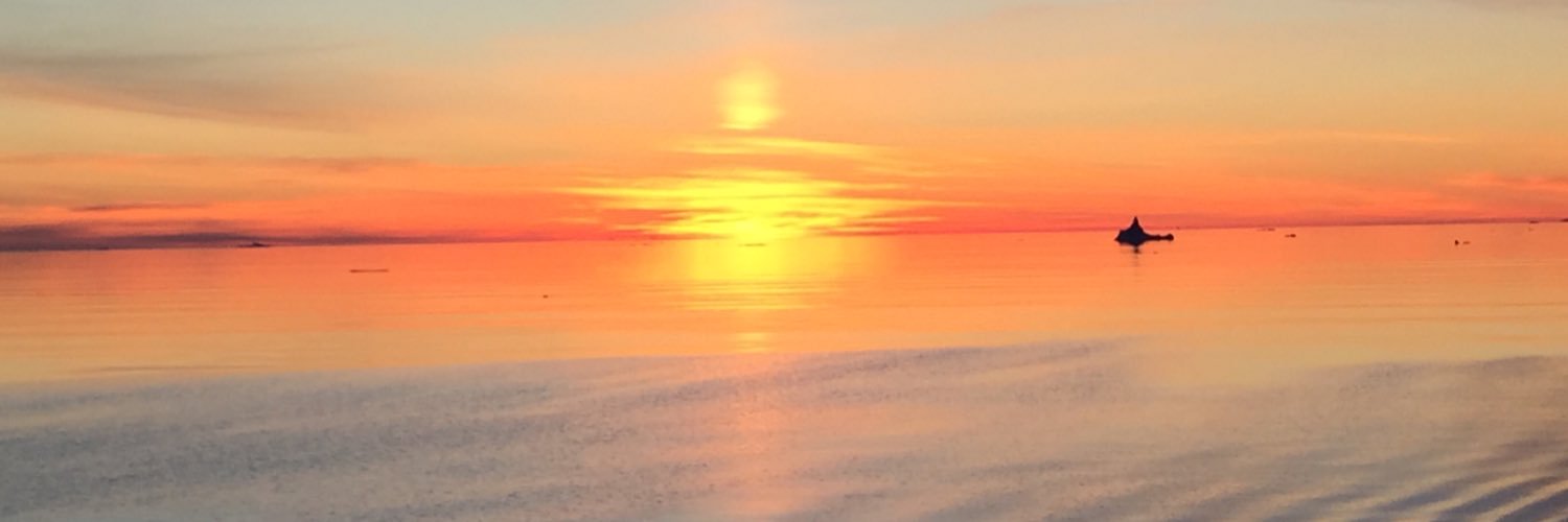 vonda_wareham's profile banner image