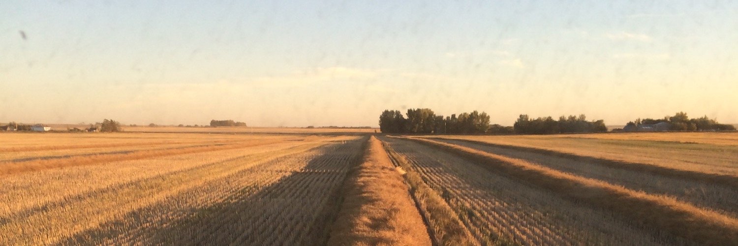 C_J_Little's profile banner image