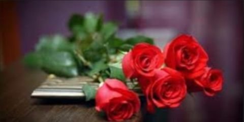 kartikaaolivia's profile banner image