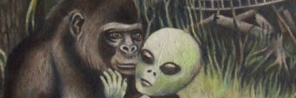 samjaku2's profile banner image