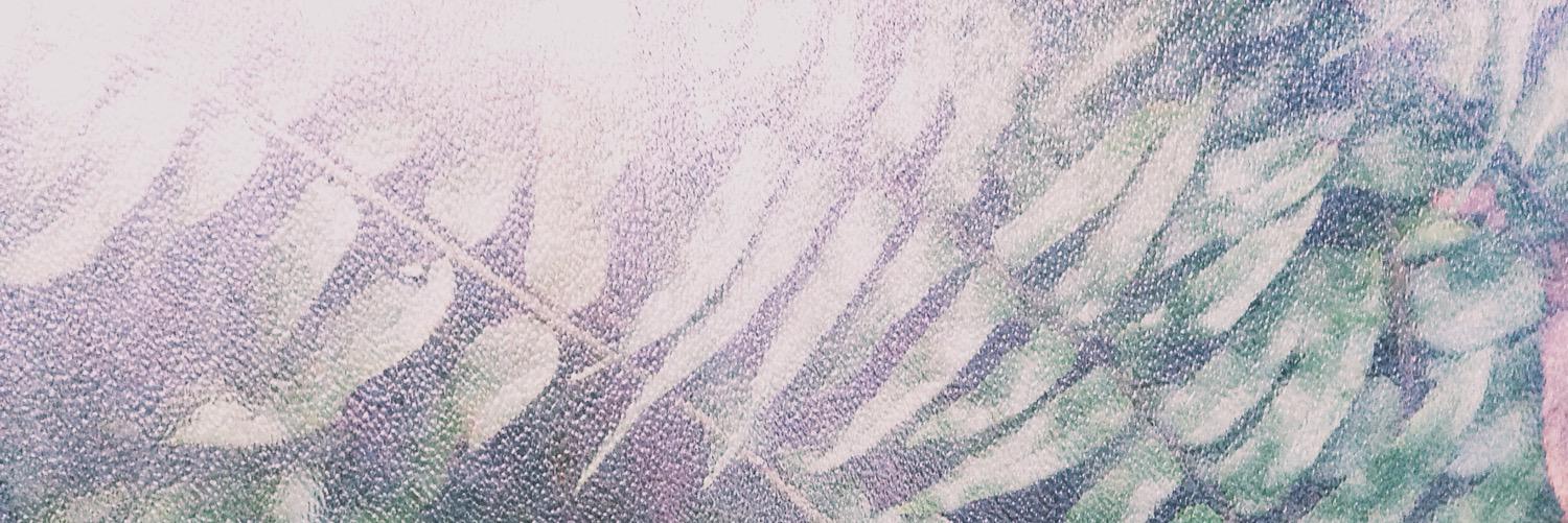 KajsaBjork's profile banner image