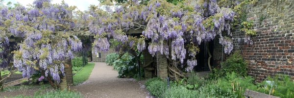 Purp1eW0lf Profile Banner