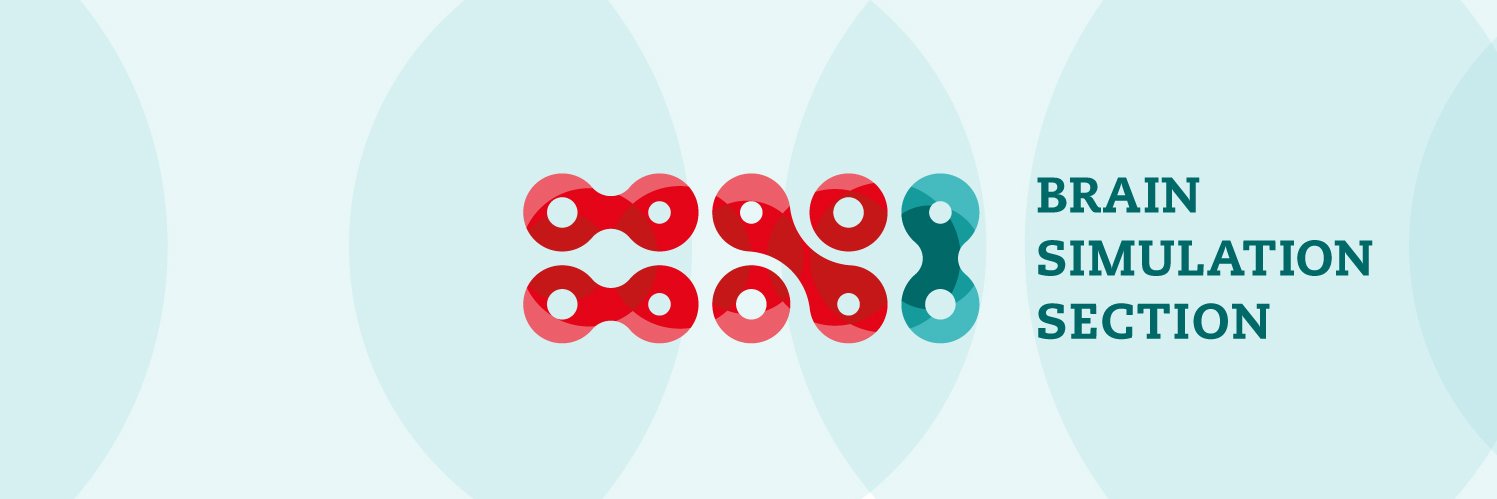 Brain Simulation Section banner