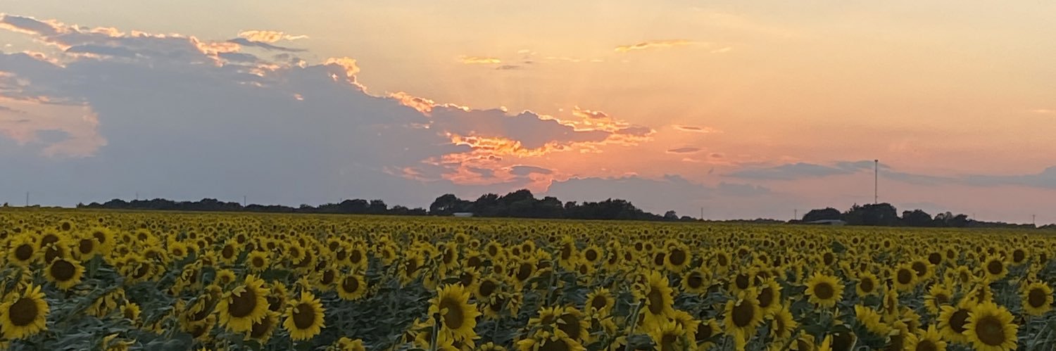 cntorrieri's profile banner image