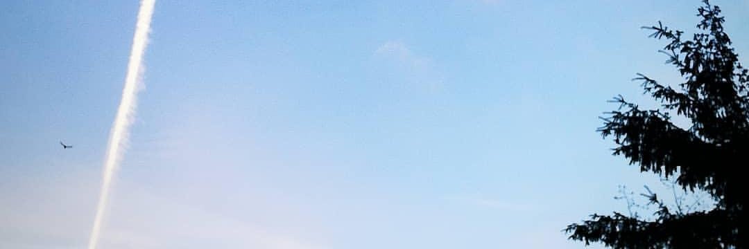 camilazvl's profile banner image