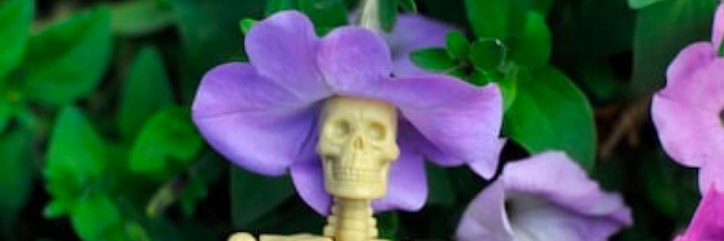 _CWBrown's profile banner image