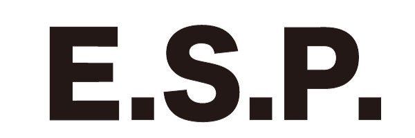 ESPHIROSHIMA's profile banner image