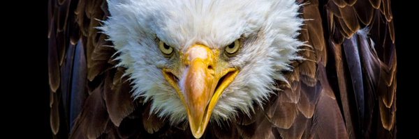 cole_harrity Profile Banner