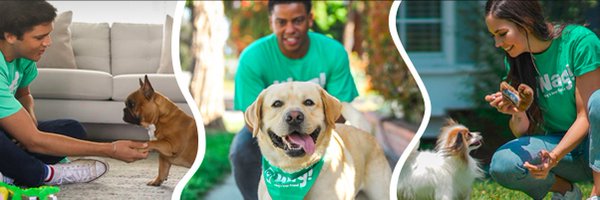 WagWalking Profile Banner
