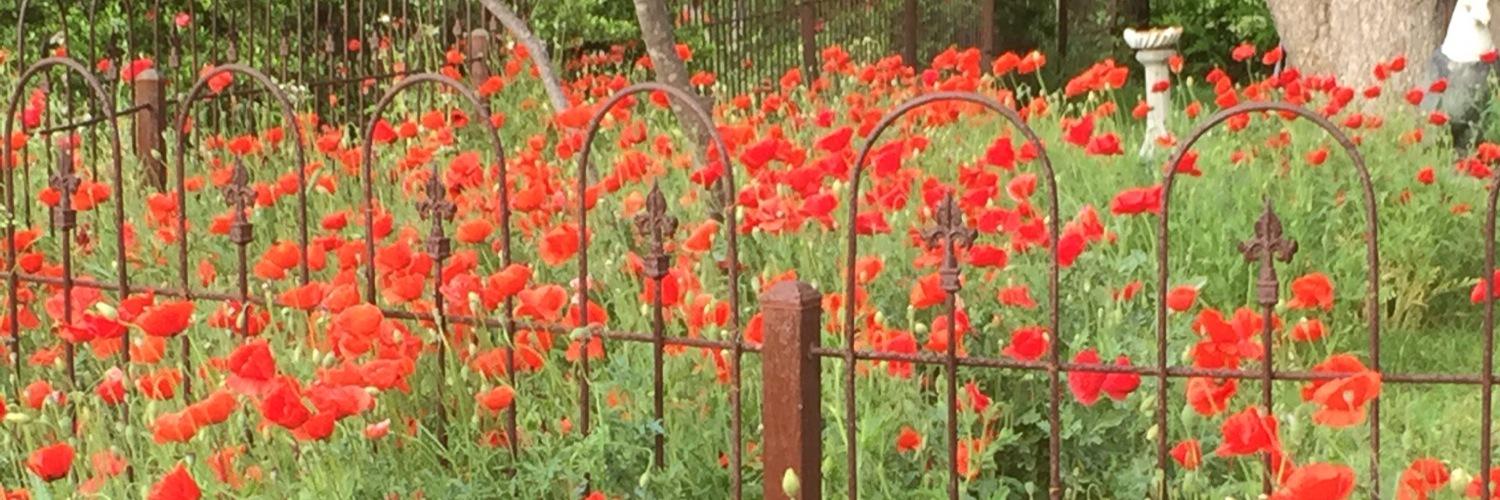 SarahWillmans's profile banner image