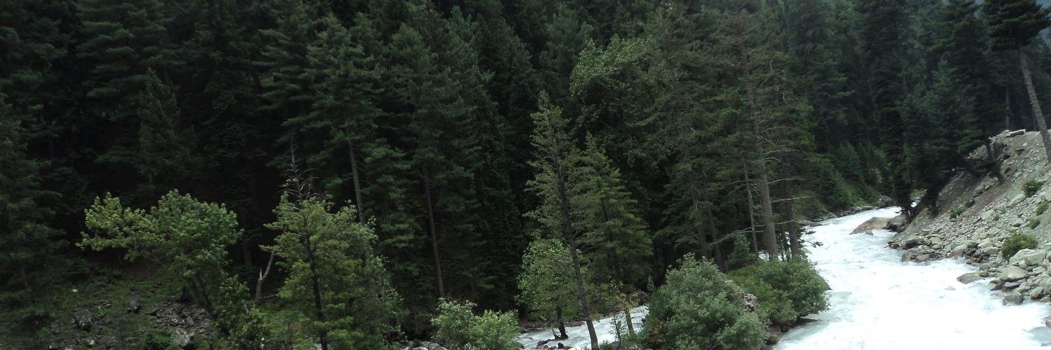 TNGarg1's profile banner image
