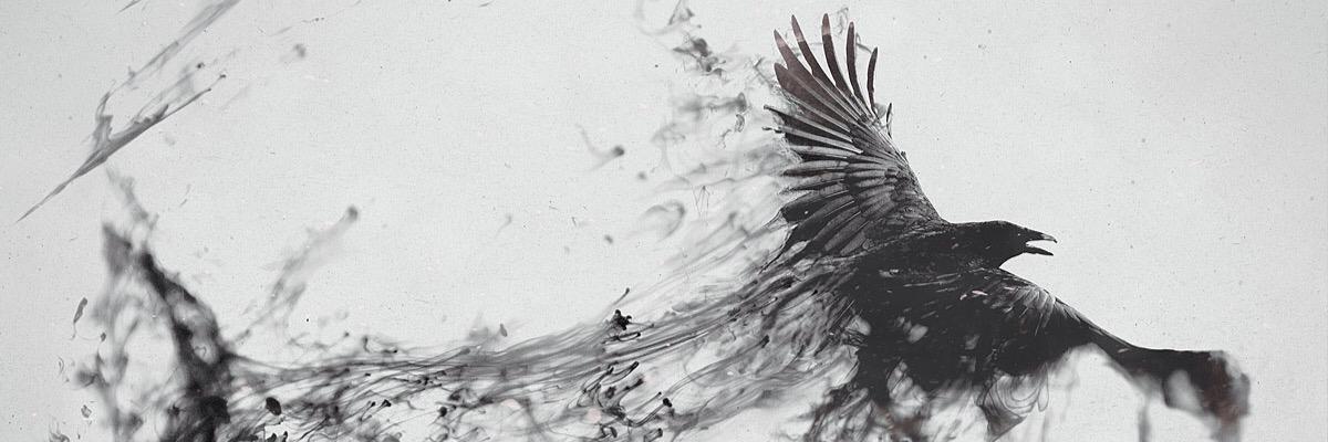 amindsovivid's profile banner image