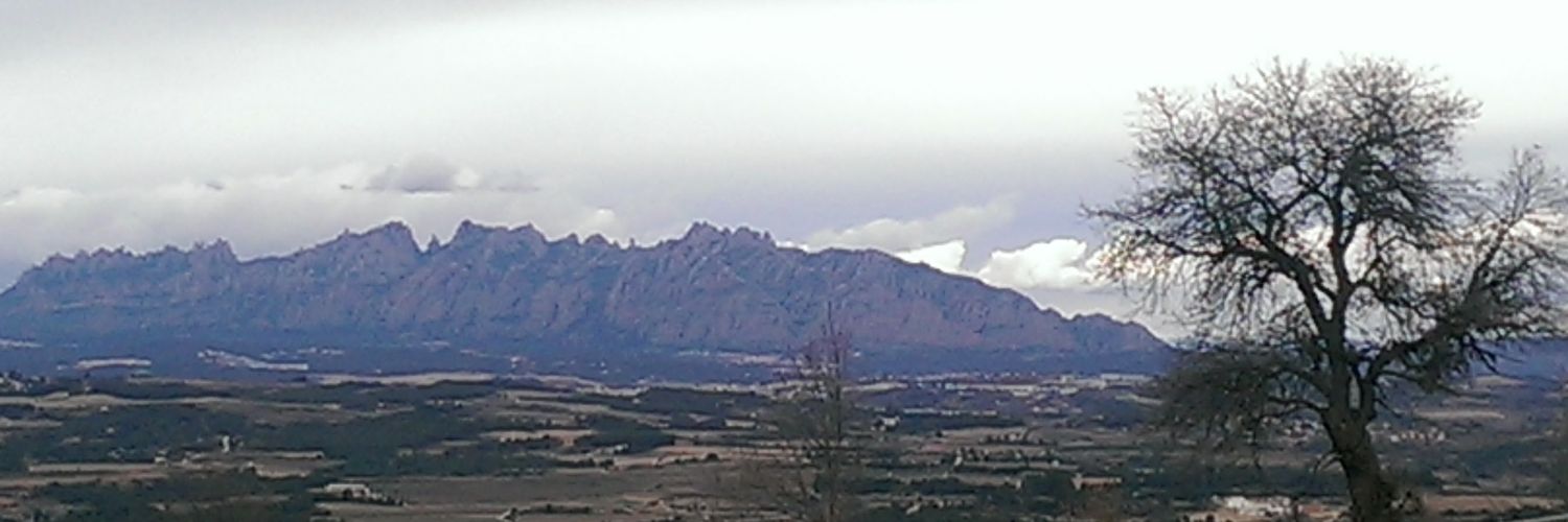Ramon Albornà banner
