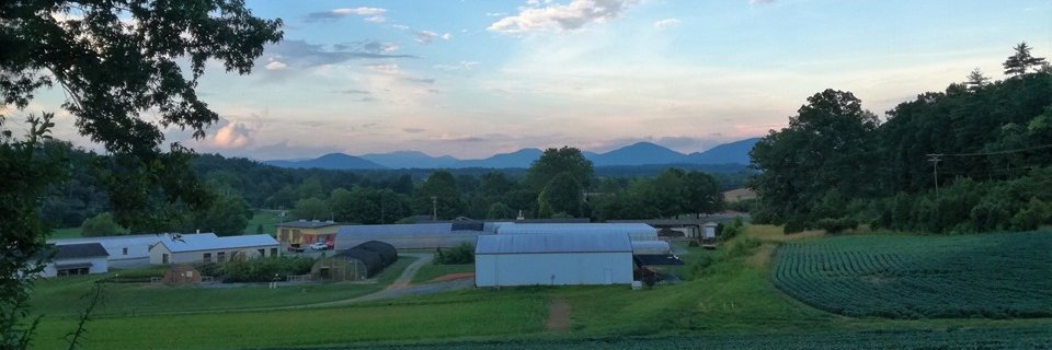 Alejandro K. Llanos banner