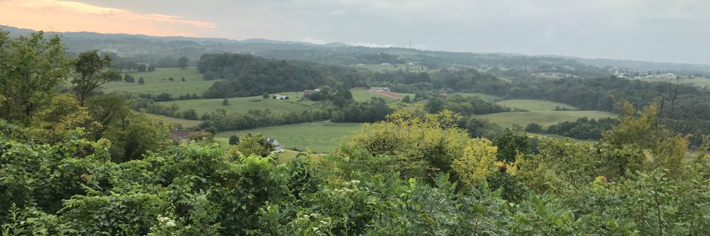 ronaldhead77's profile banner image