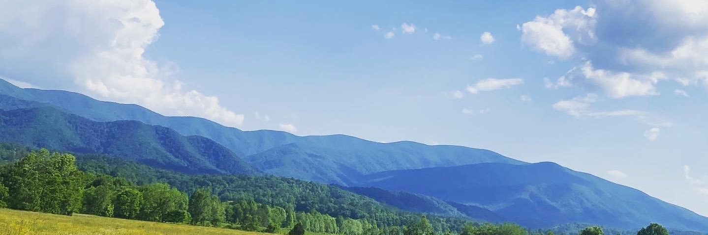 stepanietosto's profile banner image