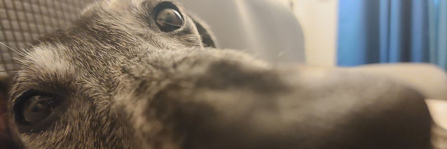 gloriagfr's profile banner image