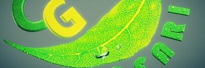 cgsafari's profile banner image