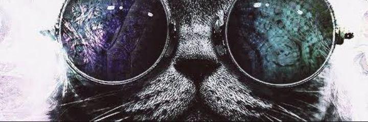 Kamilly_Ms's profile banner image