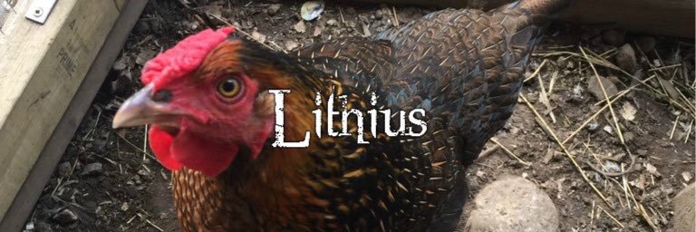 Iithius's profile banner image