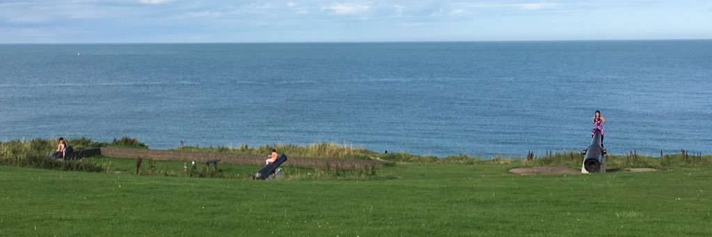 Sive Cavanagh banner