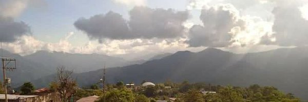 ibozuke Profile Banner