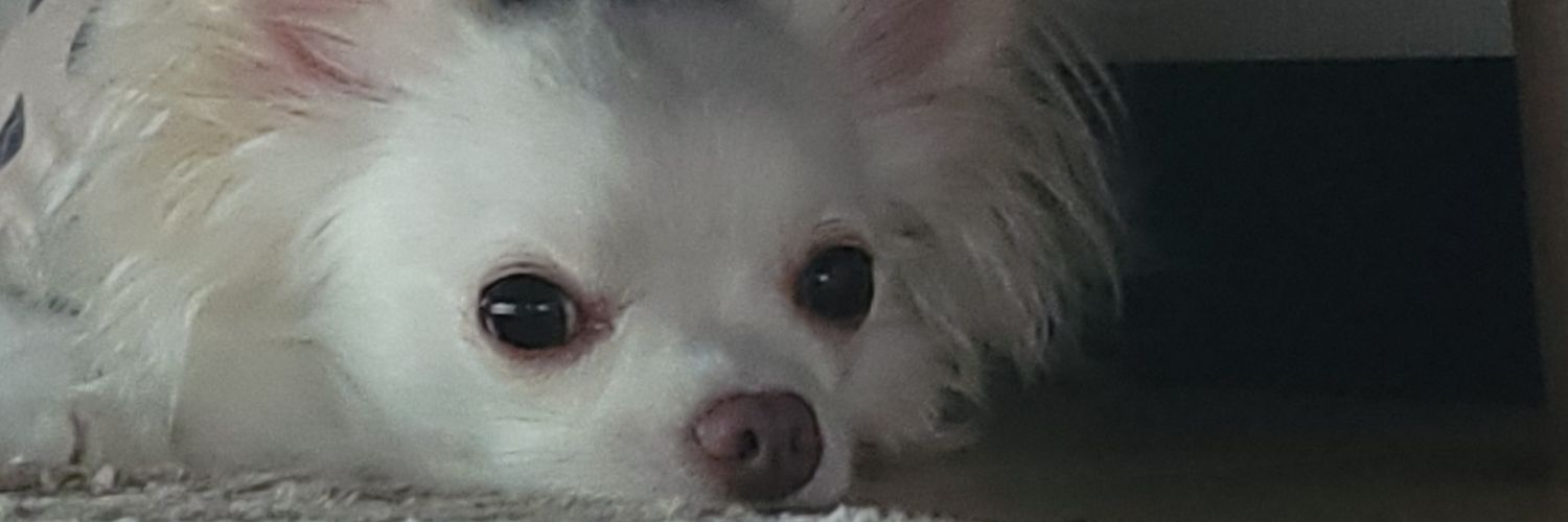 kbmmsb1's profile banner image