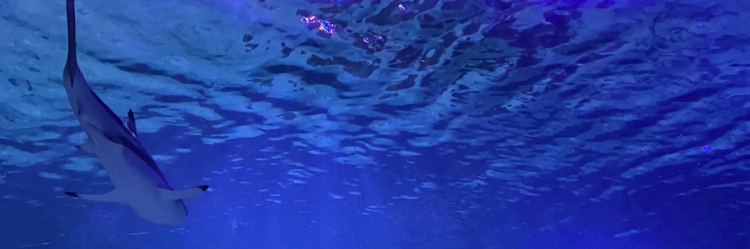 nagiyaaa's profile banner image