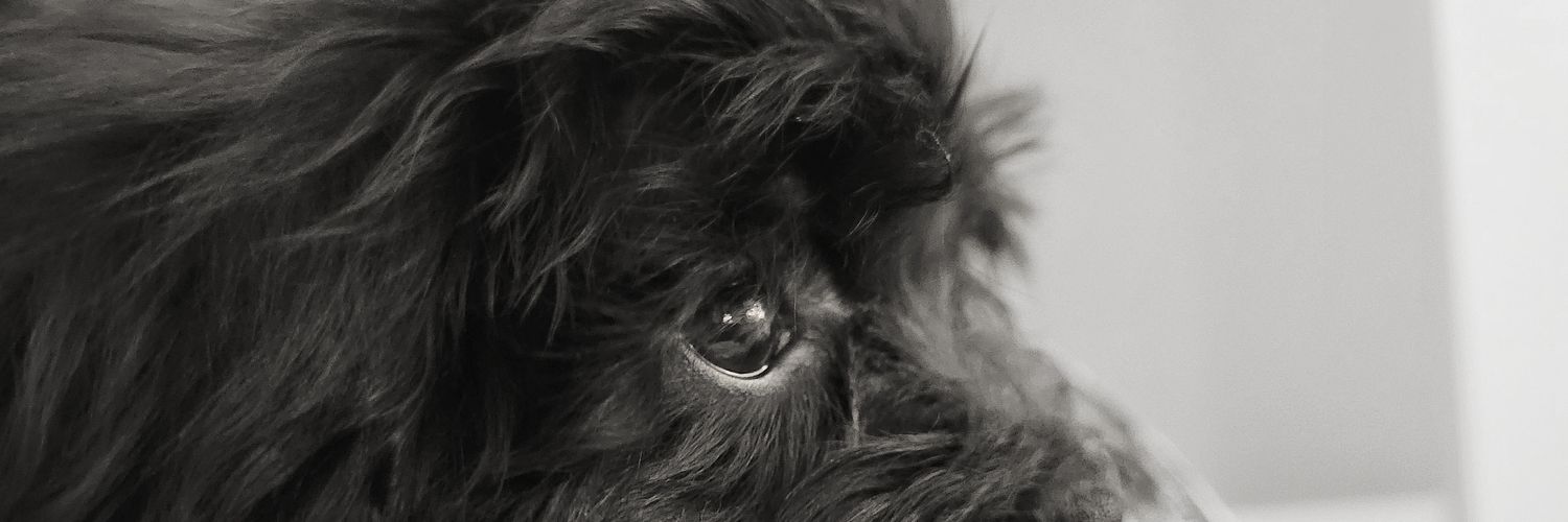 twiehj's profile banner image