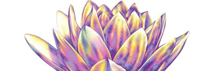 Valerie LeAnne banner