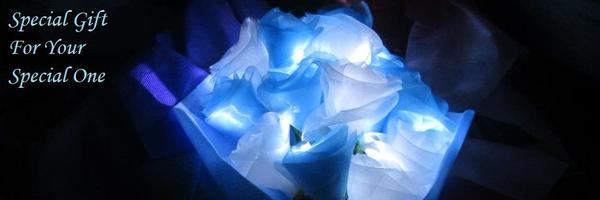 rose_ledi Profile Banner