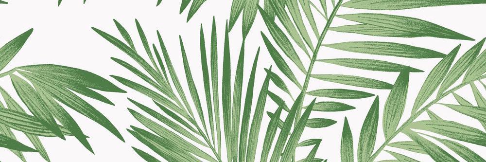 Maddie Grace Jepson banner