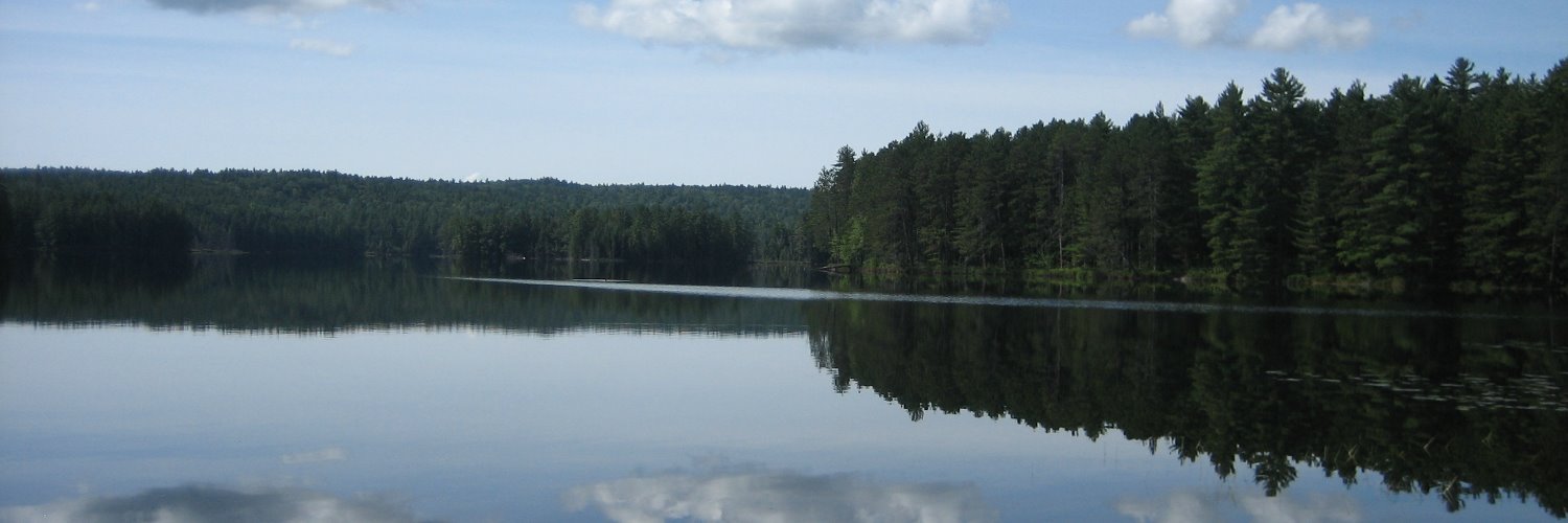 Plantje's profile banner image