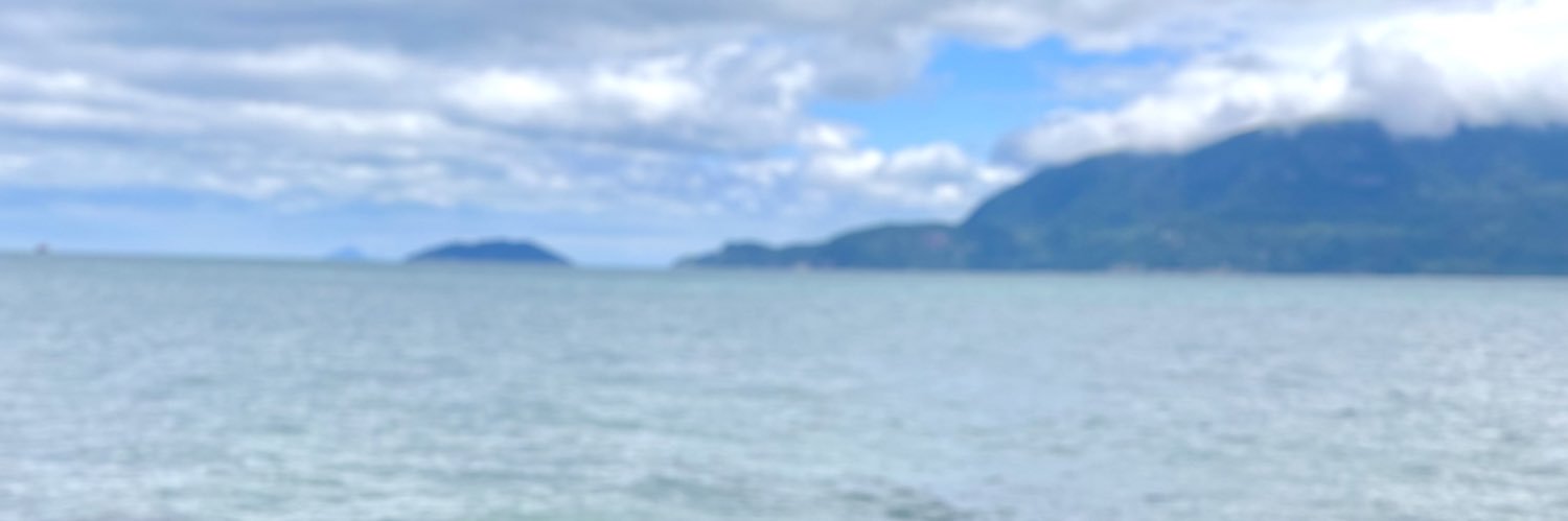 LimaYasmi's profile banner image