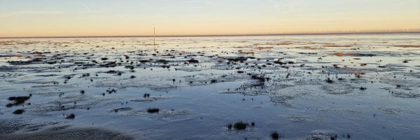 lennyb1983 Profile Banner