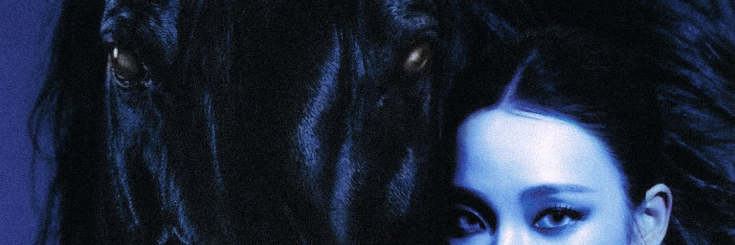 aizentroy's profile banner image