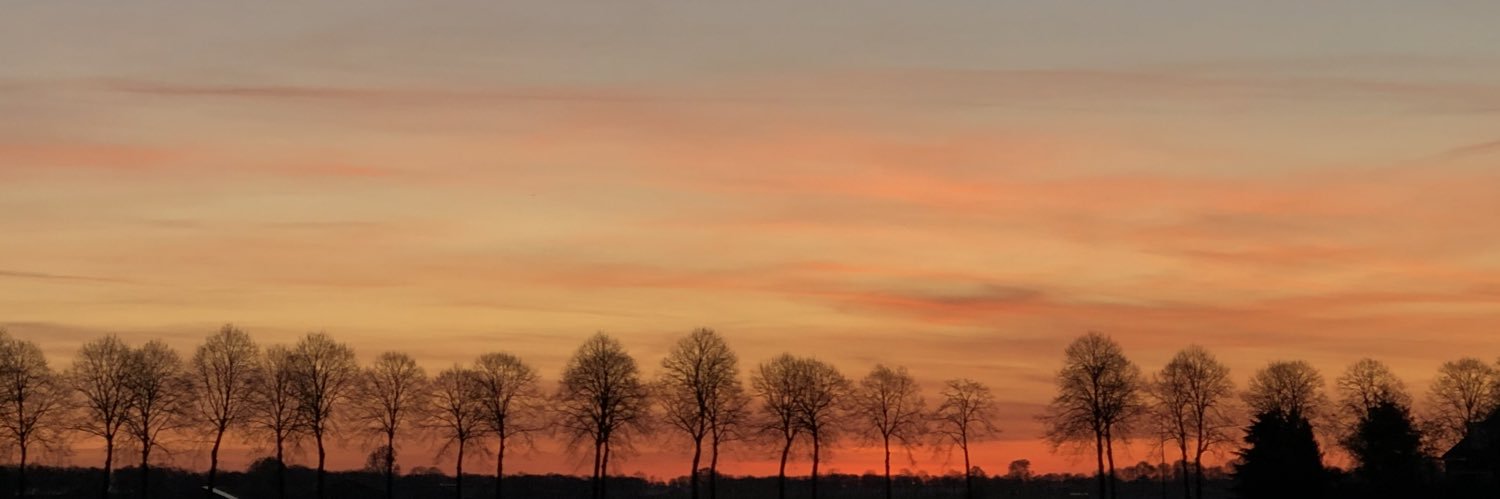 AMVPtweets's profile banner image