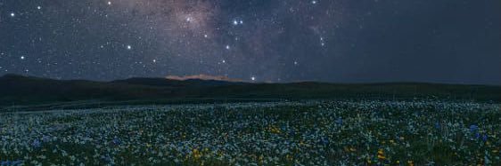 3021_y's profile banner image