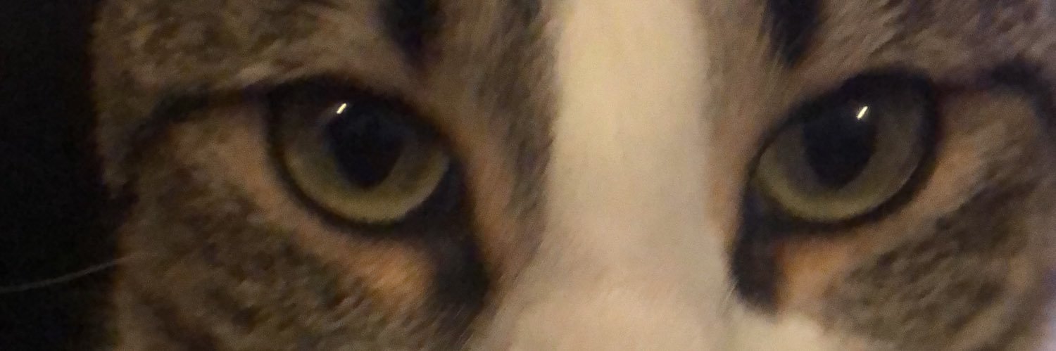 PecadoCapital96's profile banner image