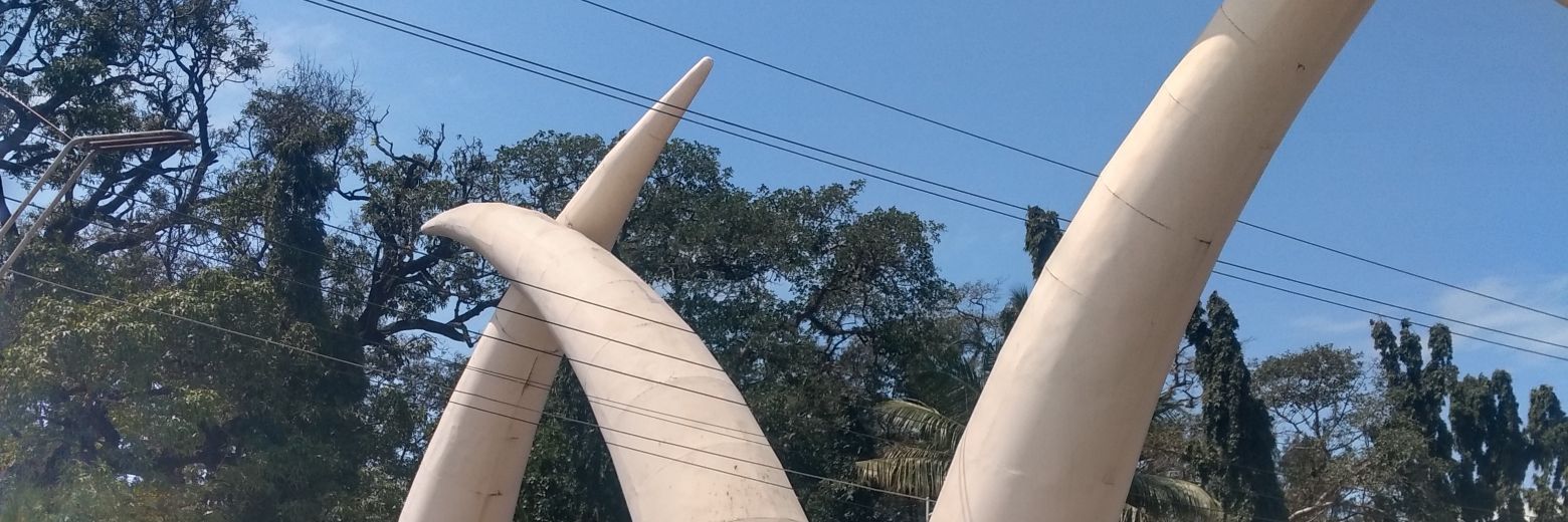 •°𝗦𝗜𝗠𝗢𝗡°• 🍉 banner