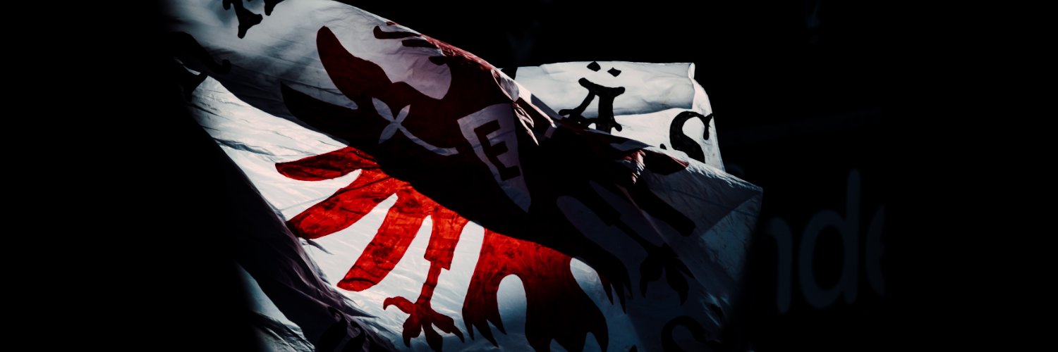 sge_bot's profile banner image