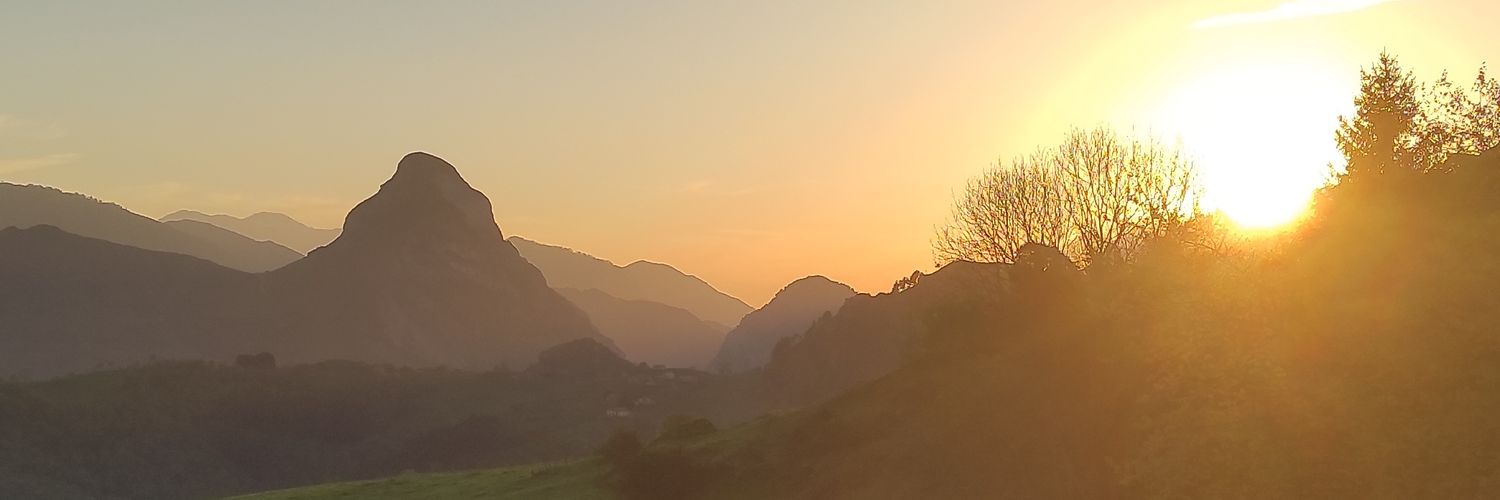 Alicia Álvarez banner