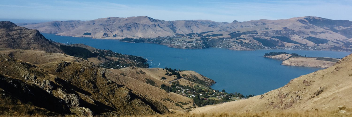 Suzi_NZ's profile banner image