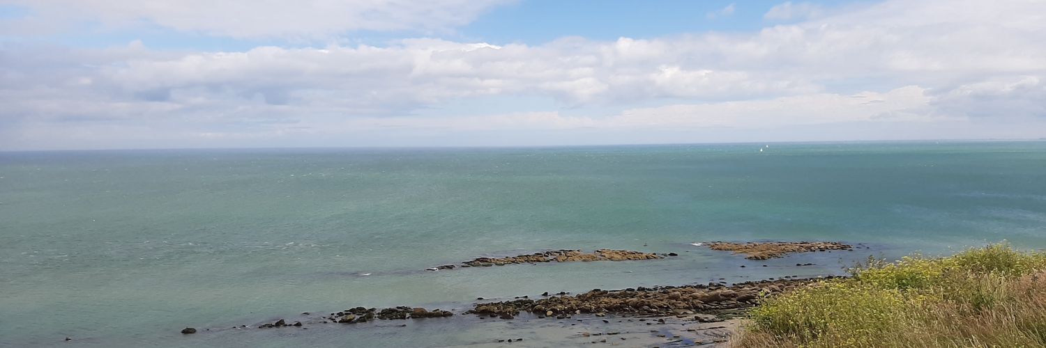 Amandine Pinot banner