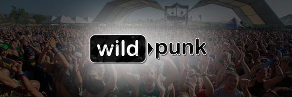 wildpunkoficial Profile Banner