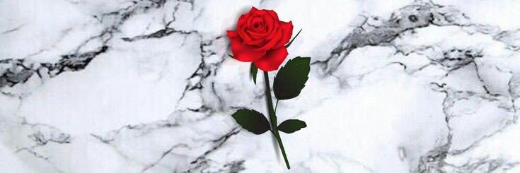 marinalopezgoo's profile banner image