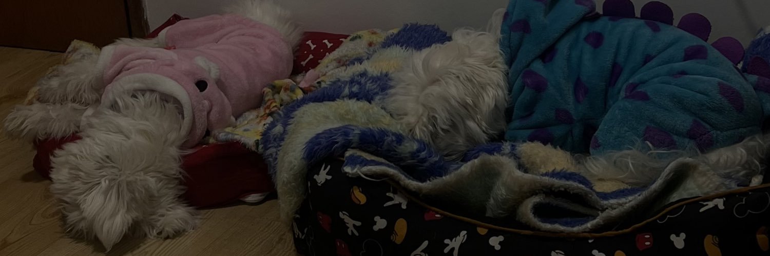 giopeixotoo's profile banner image