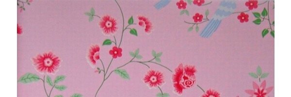 71kletsmajoor's profile banner image